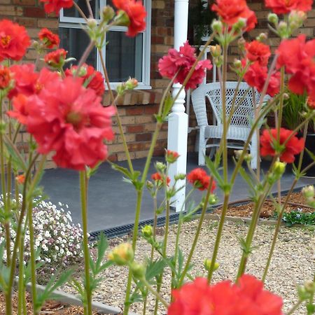 Hazelcreek Cottages Exeter Dış mekan fotoğraf